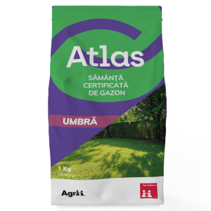 GAZON UMBRA ATLAS , 1 kg